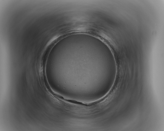 X0000111031450200907021528