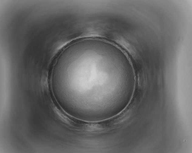 X0000111031452200907021528
