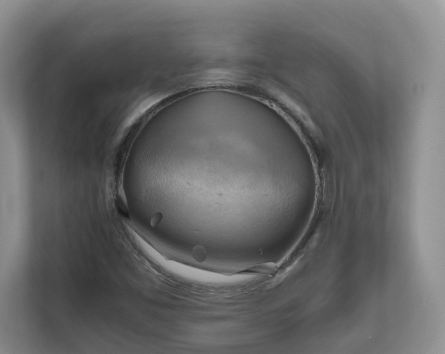 X0000111031453200907021528