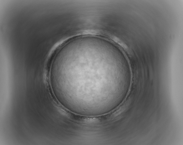 X0000111031454200907021528
