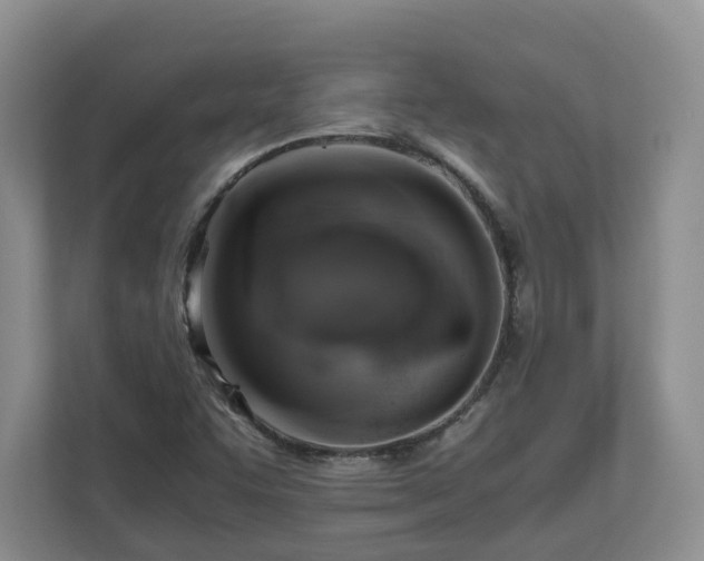 X0000111031455200907021528