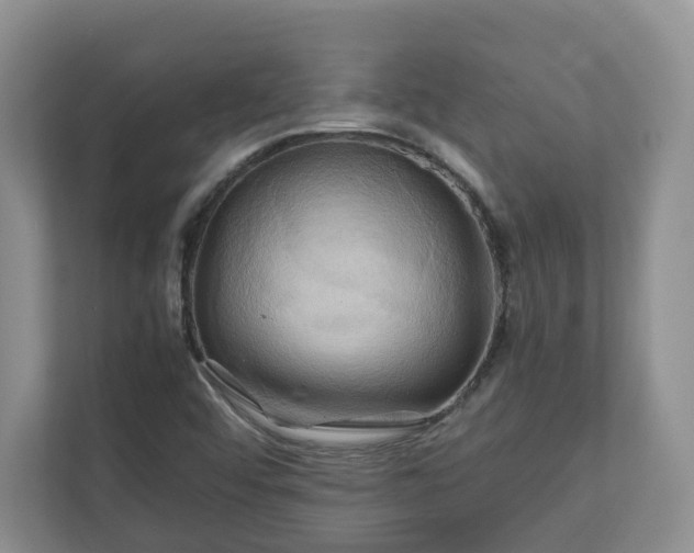 X0000111031456200907021528