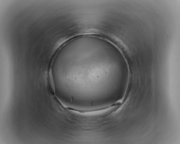 X0000111031457200907021528