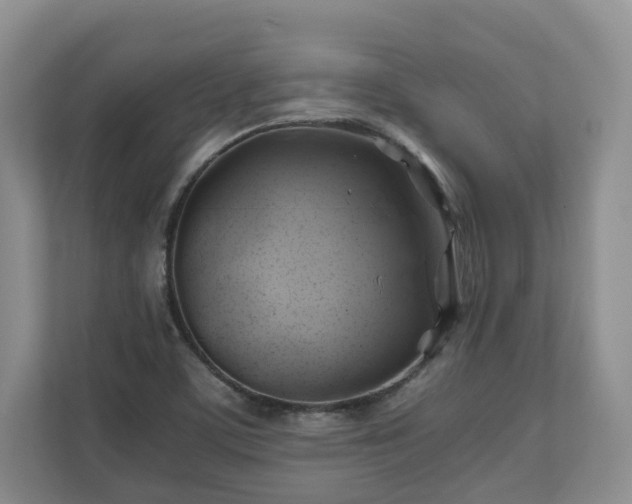 X0000111031459200907021528