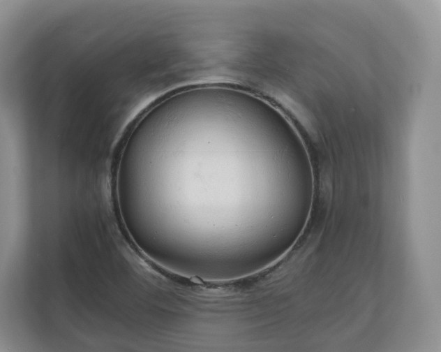 X0000111031460200907021528