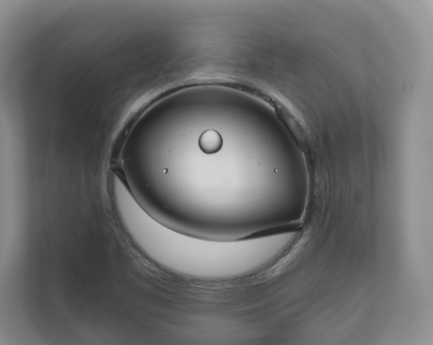 X0000111031461200907021528