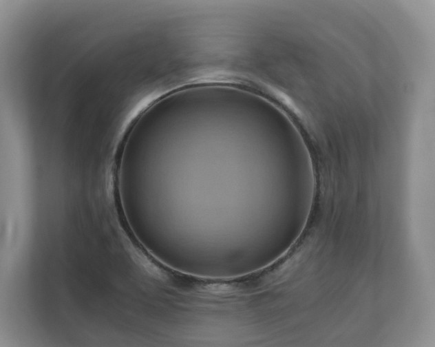 X0000111031463200907021528