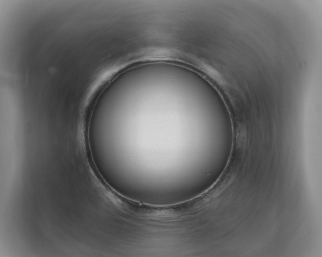 X0000111031464200907021528
