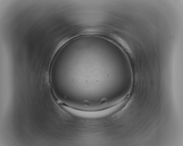 X0000111031465200907021528