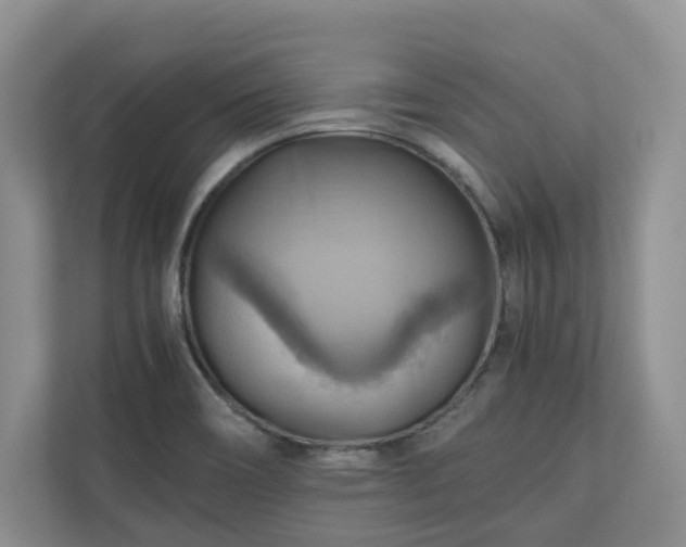 X0000111031466200907021528