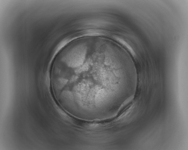 X0000111031467200907021528