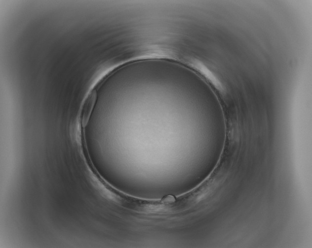 X0000111031468200907021528