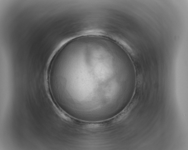 X0000111031470200907021528