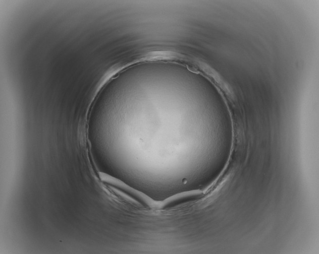 X0000111031473200907021528