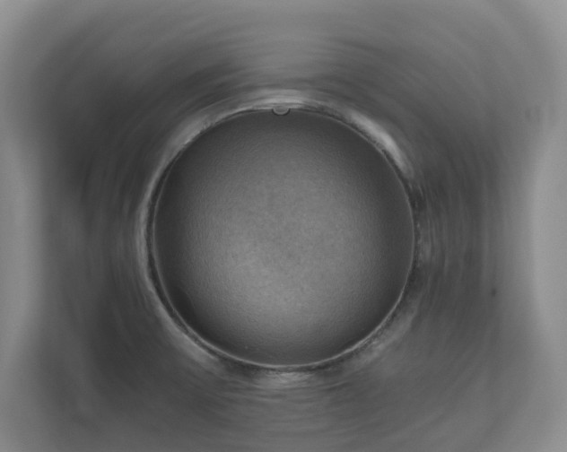 X0000111031475200907021528