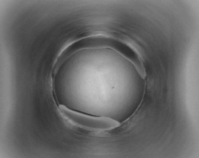 X0000111031476200907021528