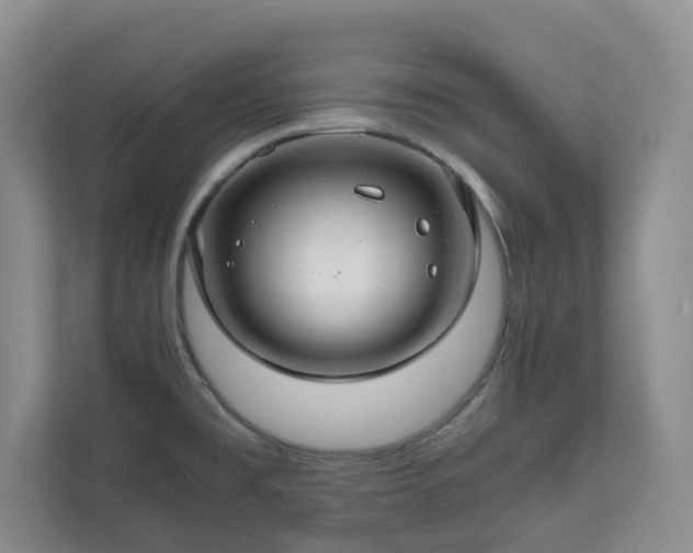 X0000111031477200907021528