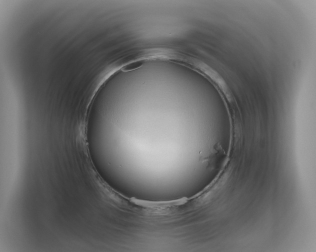 X0000111031481200907021528