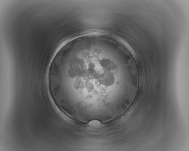 X0000111031483200907021528