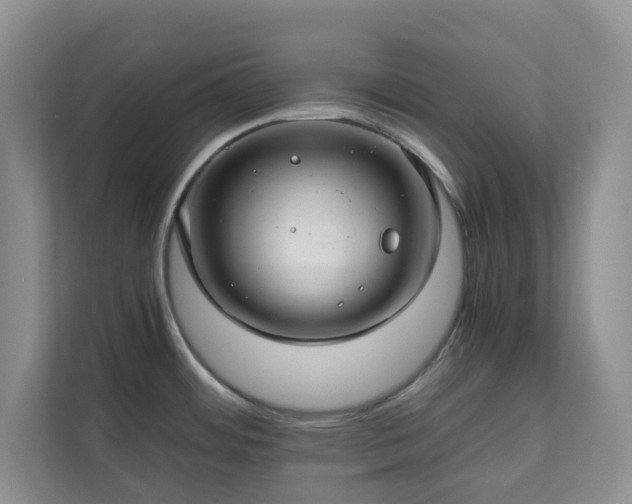 X0000111031484200907021528