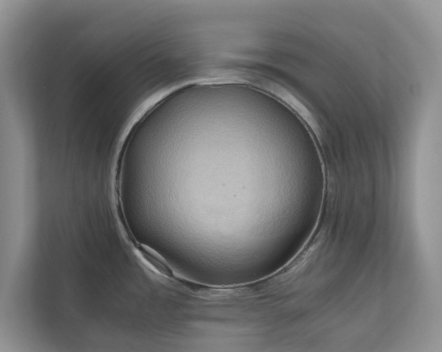 X0000111031485200907021528