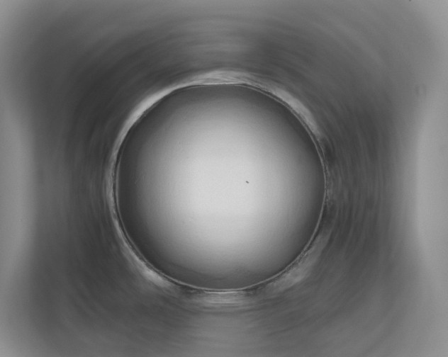 X0000111031486200907021528