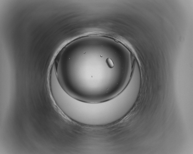 X0000111031488200907021528