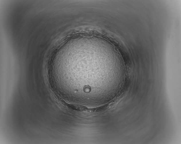 X0000111031489200907021527