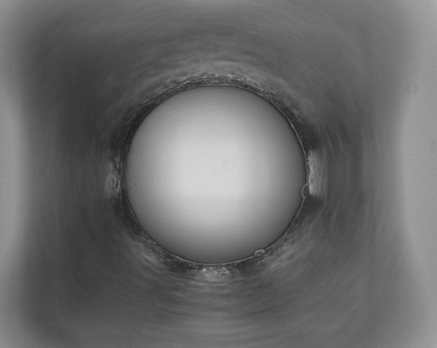 X0000111031491200907021527