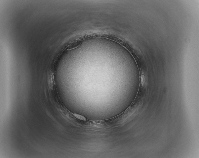 X0000111031492200907021527