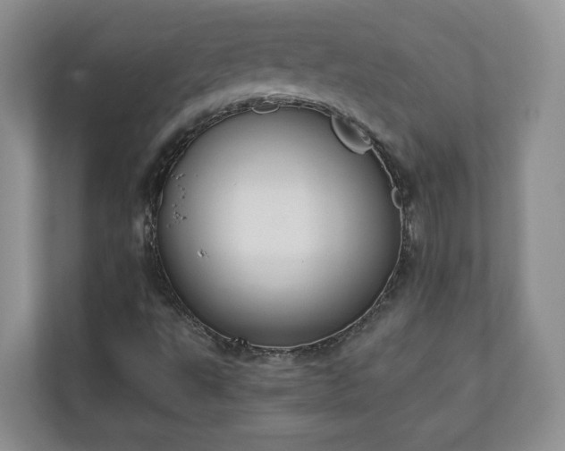 X0000111031495200907021527