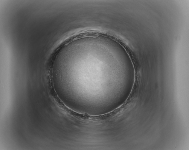 X0000111031496200907021527