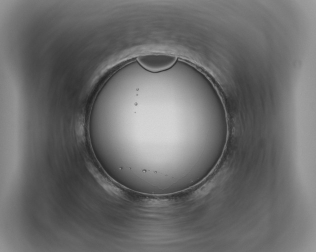 X0000111031499200907021527