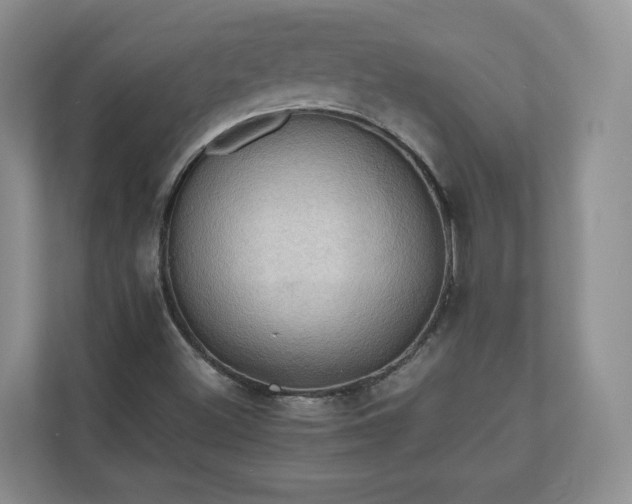 X0000111031500200907021527