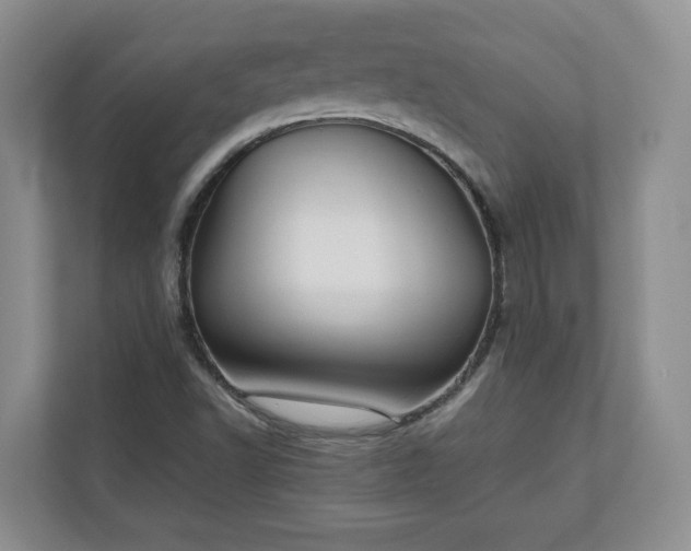 X0000111031502200907021528