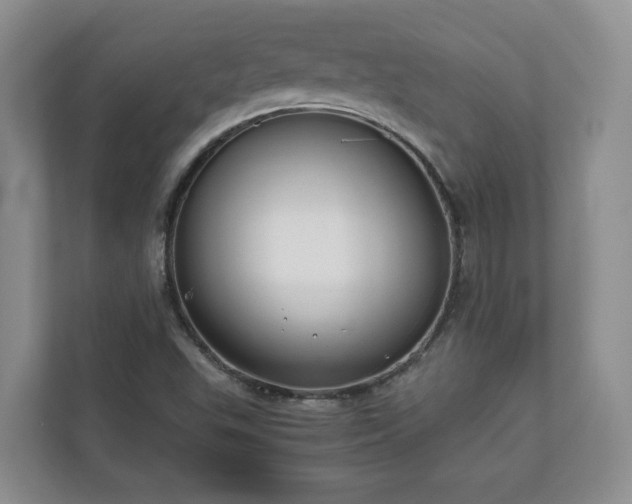 X0000111031503200907021528