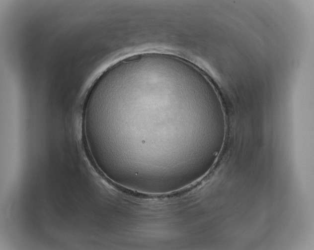 X0000111031504200907021528