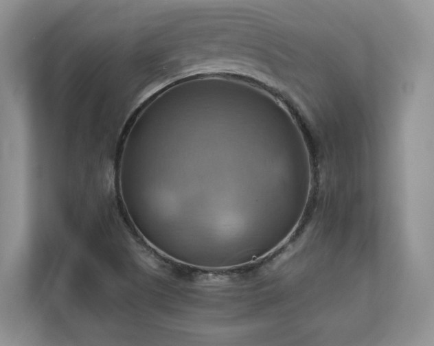 X0000111031505200907021528