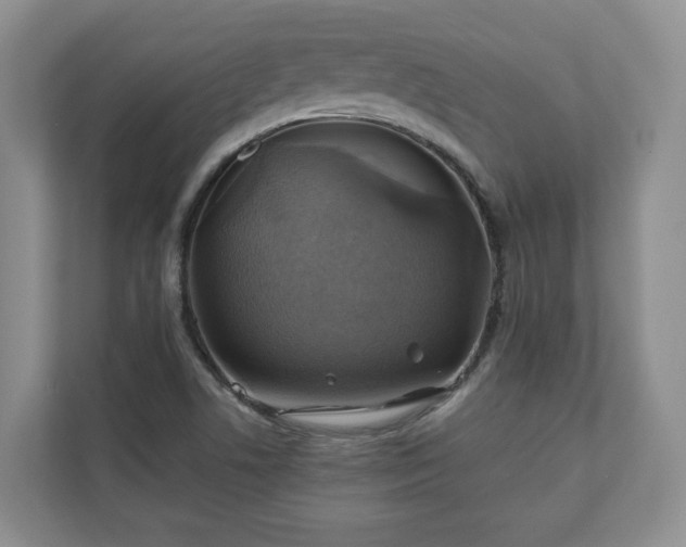 X0000111031506200907021528