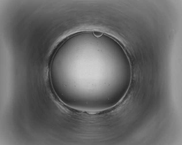 X0000111031507200907021528