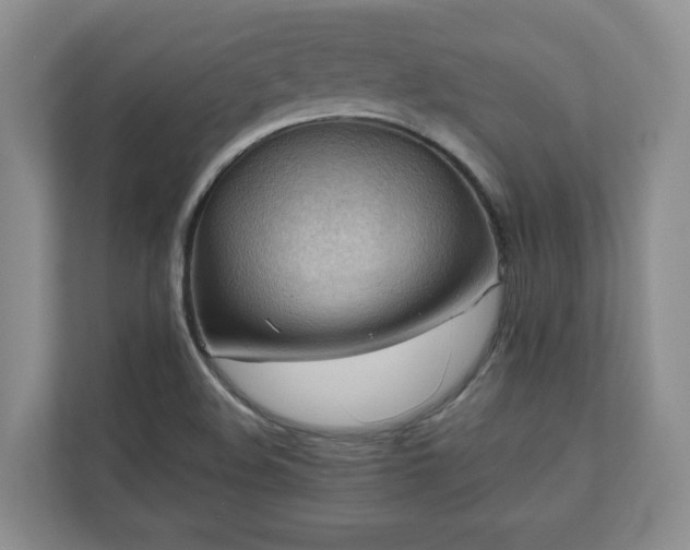 X0000111031508200907021528