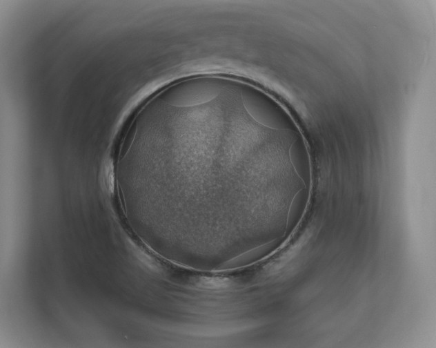 X0000111031509200907021528