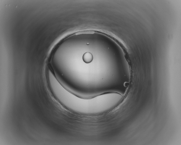 X0000111031510200907021528