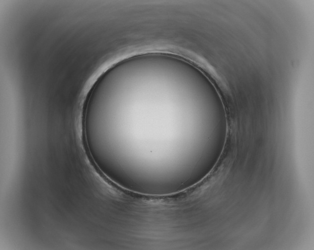 X0000111031512200907021528