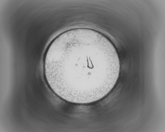 X0000111031514200907021528