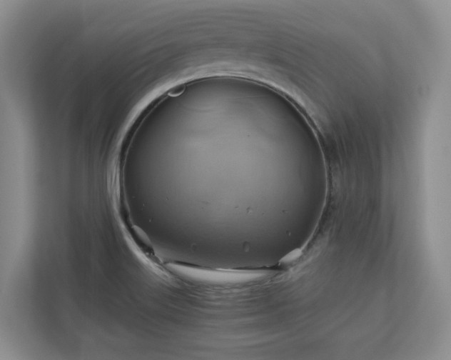 X0000111031515200907021528