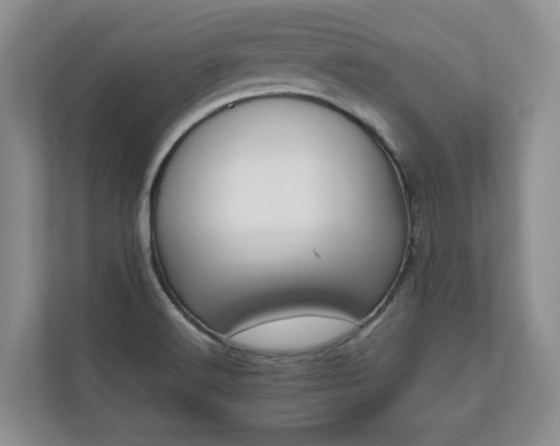 X0000111031516200907021528