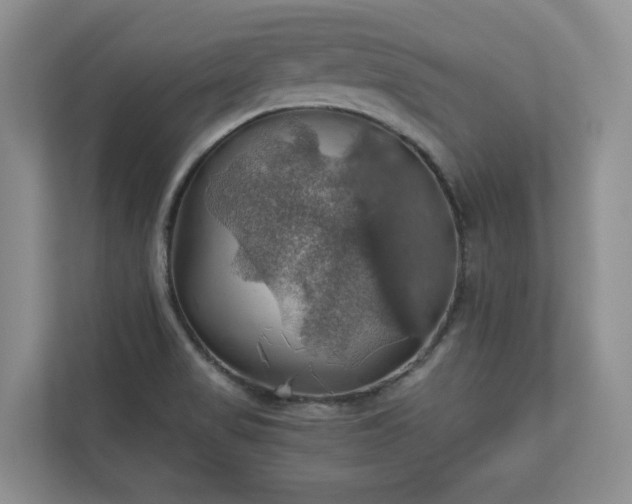 X0000111031517200907021528