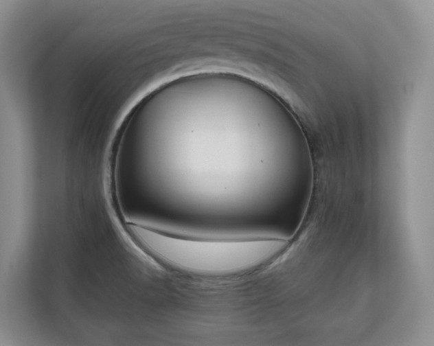 X0000111031518200907021528