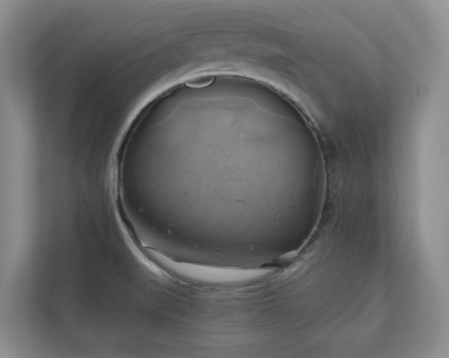 X0000111031519200907021528